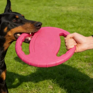 Dogs EVA Flying Disc Tooth Chew Play Train Toy Indestructible Pet Supplies Toys Large Safe Small Dog Joint Tough Toys Resistant 1