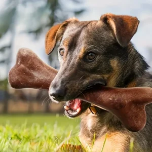 Dog Durable Beef Flavored Chew Toy, Bone Shaped Dog Interactive Play Toy, Teeth Clean Training Toy Pet Supplies 1