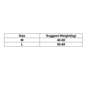 Lingerie Ice Silk Low Rise Briefs Women Korean Soft Seamless Lingerie Cotton Crotch Transparent Sexy Women Underwear Smooth 1