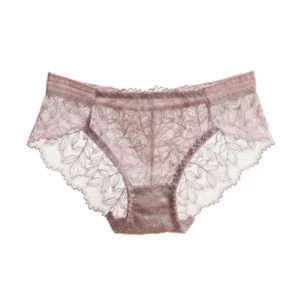 Lingerie Low Waist Women's Panties Mesh Hollow Out Lace Briefs Seamless Transparent Underwear Lady 1