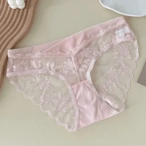 Lingerie Mesh Lace Flower Panties Transparent Low Waist Lace Briefs Breathable French Style Briefs Lady 1