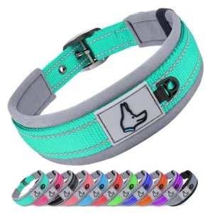 Padded Dog Collars for Small Medium Large Dogs Soft Reflective Wide Pet Collars Adjustable Heavy Duty Nylon Neoprene Dog Collar 1